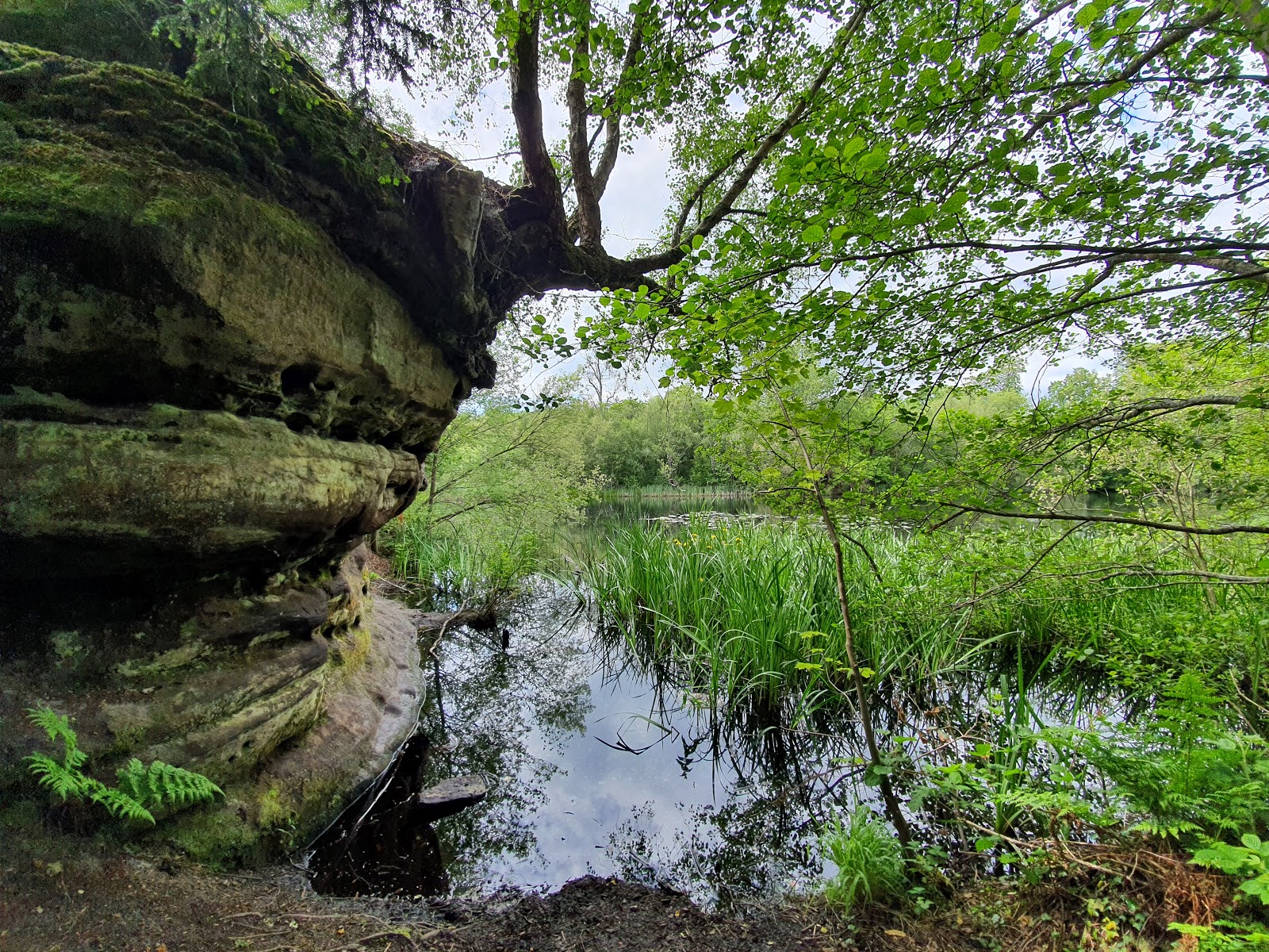https://whatremovals.co.uk/wp-content/uploads/2022/02/West park local nature reserve-300x225.jpeg